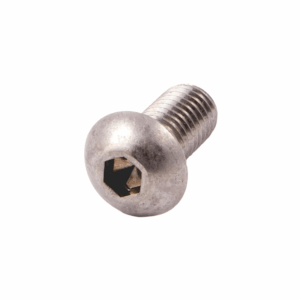 Vis à tête bombée à six pans creux M8 x 20 en acier inoxydable